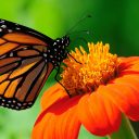 It’s decision time.